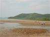 image15